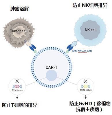 實體瘤CAR-T的破局者 科濟藥業李宗海談全球研發進展、海外布局與下一代技術
